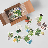 Miniature Sticker Box Green Market Garden