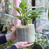 Large Spiral Glass Planter Green