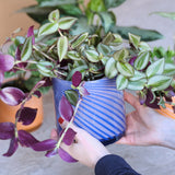 Medium Spiral Glass Planter Blue