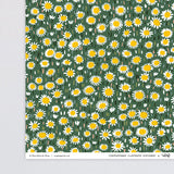 Daisies Wrapping Paper