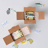 Haco Miniature Sticker Box Fish