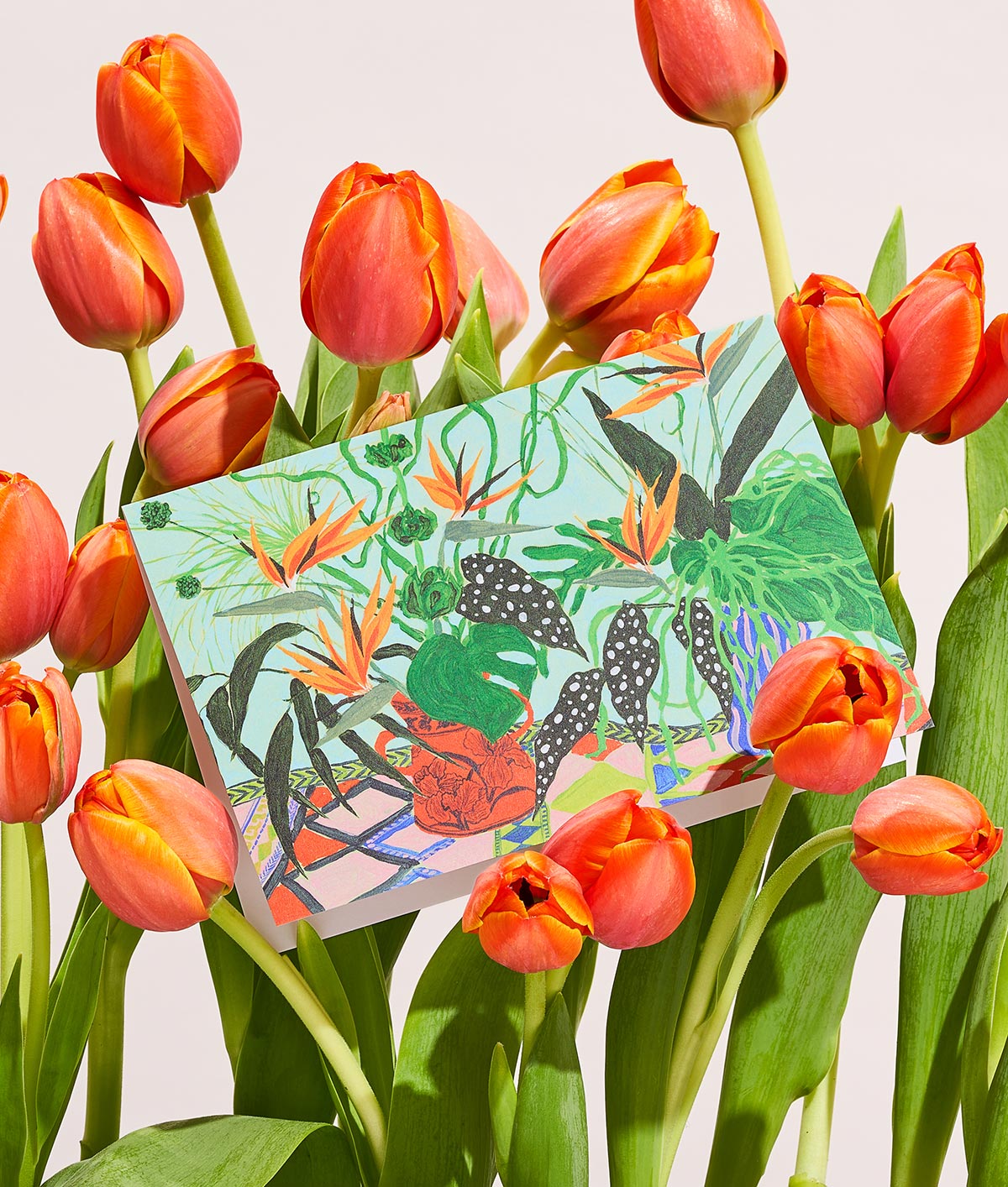 an everyday greetings card with pot plants and flowers on it sitting in a bunch of tulips
