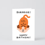 Surprise! Happy Birthday Cat