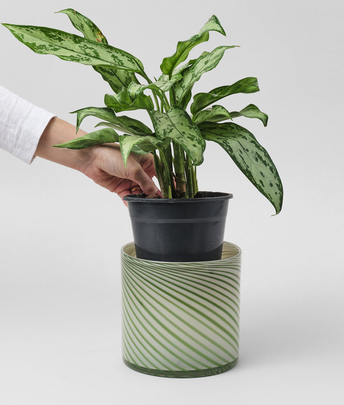 Large Spiral Glass Planter Green