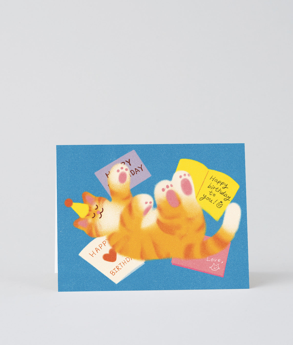 Happy Birthday Cat Letters