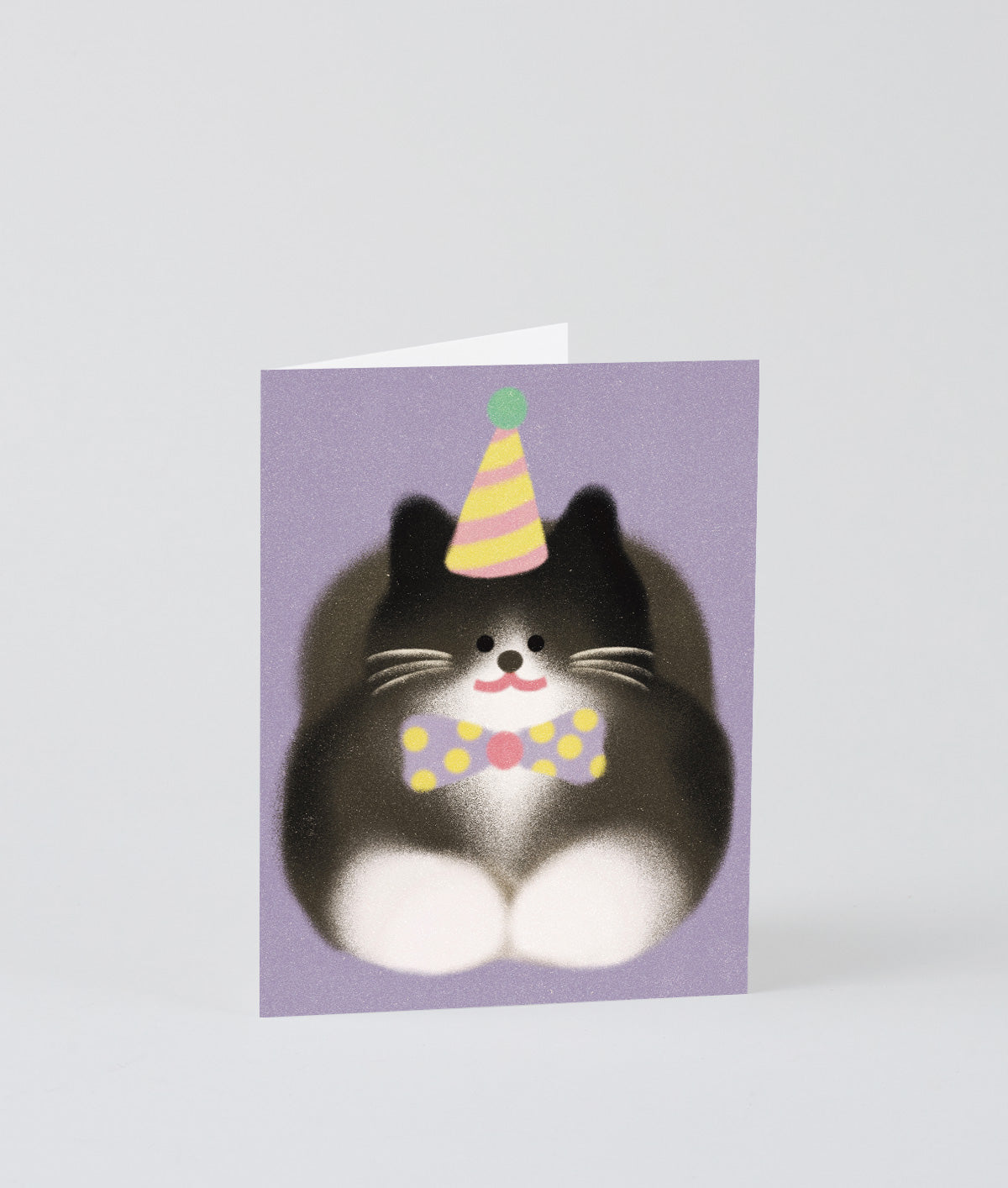 Tuxedo Cat