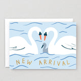New Arrival Swans